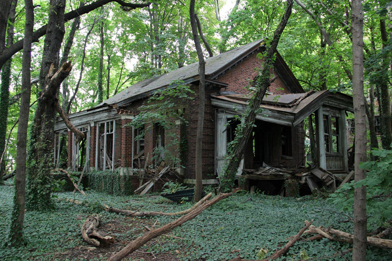 abandoned island new york city north brother island 2 An Abandoned House Overtaken by Animals