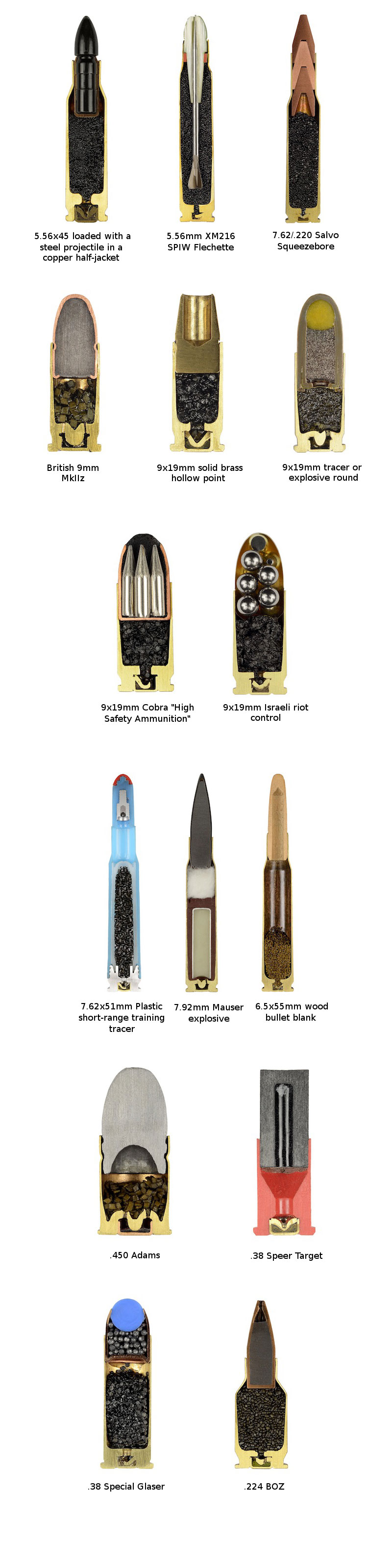 cross-sections-of-ammo-sabine-pearlman-(7)