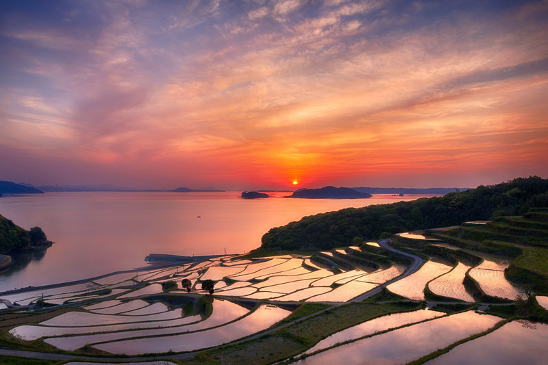 doya rice terrace sunset japan Picture of the Day: Rice Terrace Sunset