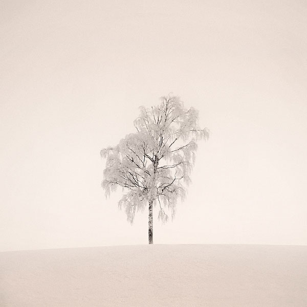 portraits of solitude by Mikko Lagerstedt (1)