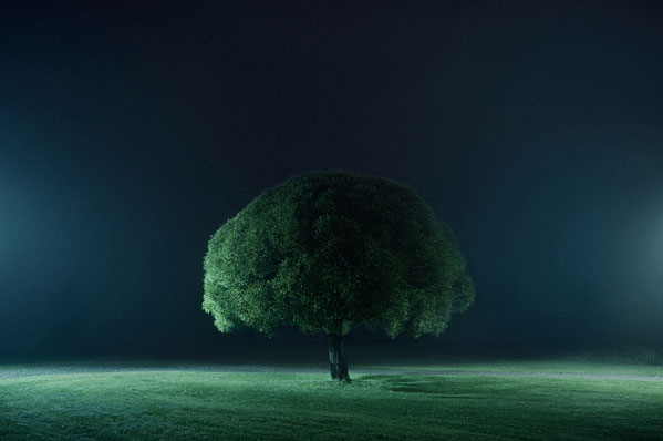 portraits of solitude by Mikko Lagerstedt (4)