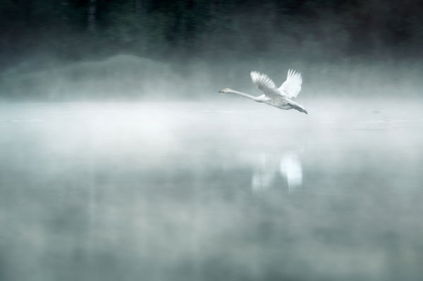 portraits of solitude by Mikko Lagerstedt (9)