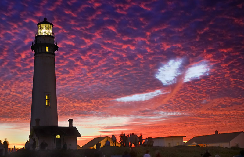 sky whale pigeon point Picture of the Day: The Sky Whale