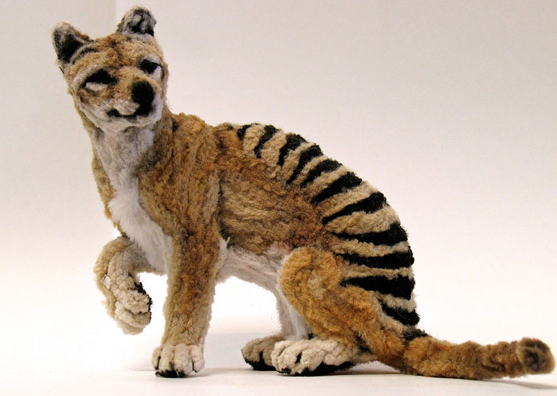 thylacine made from pipe cleaner chenille stem by lauren ryan (1)