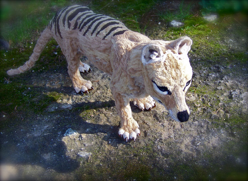 thylacine made from pipe cleaner chenille stem by lauren ryan (2)