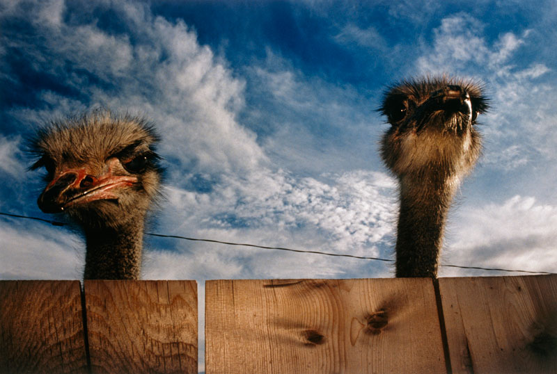 06_National_Geographic_521998