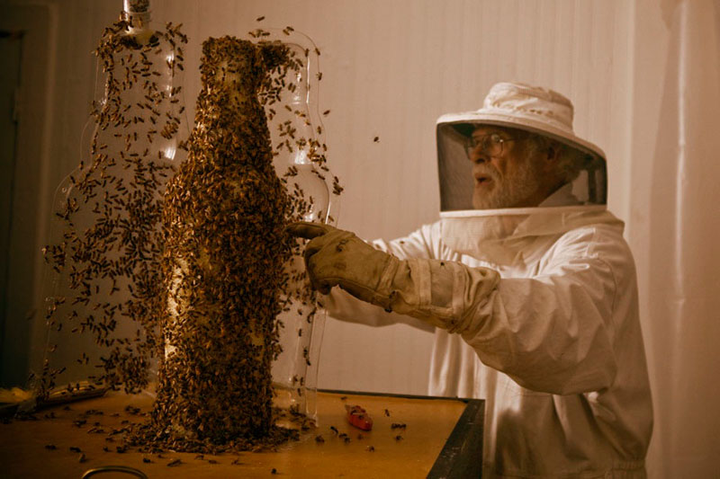 3-bee printing dewar's sid lee ebeling group honeycomb sculptures (6)