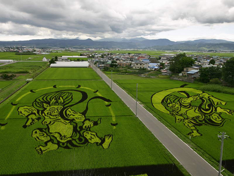 tanbo japanese rice field art (12)