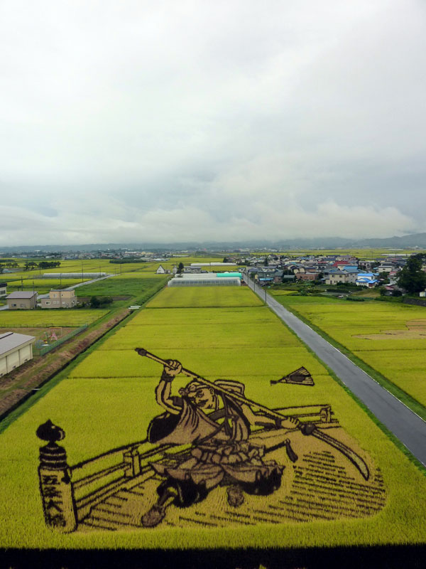 tanbo japanese rice field art (3)