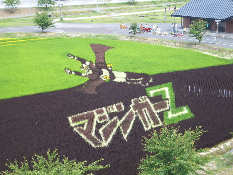 tanbo japanese rice field art (6)
