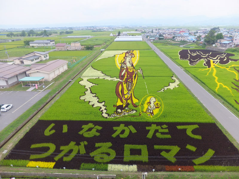 tanbo japanese rice field art (7)