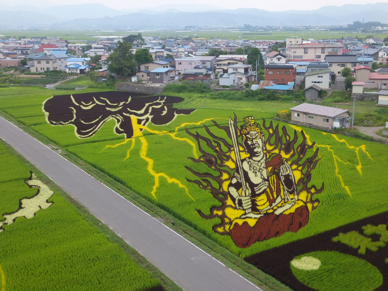 tanbo japanese rice field art 8 Speed Paintings Made from Various Foods and Drinks