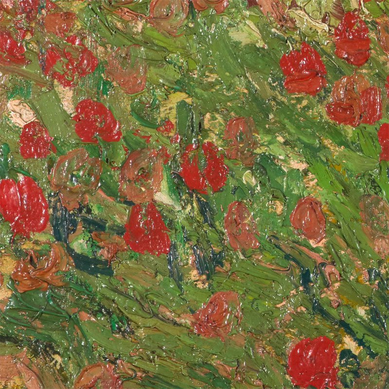 vincent van gogh poppy field close up4 Extremely Detailed Close Ups of Van Goghs Masterpieces