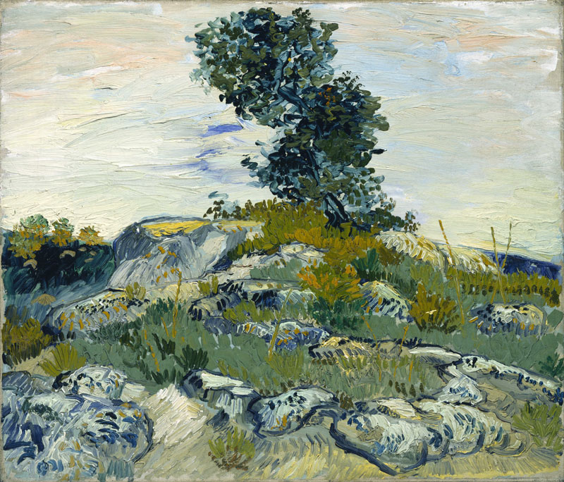 Vincent_van_Gogh-the-rocks-1888