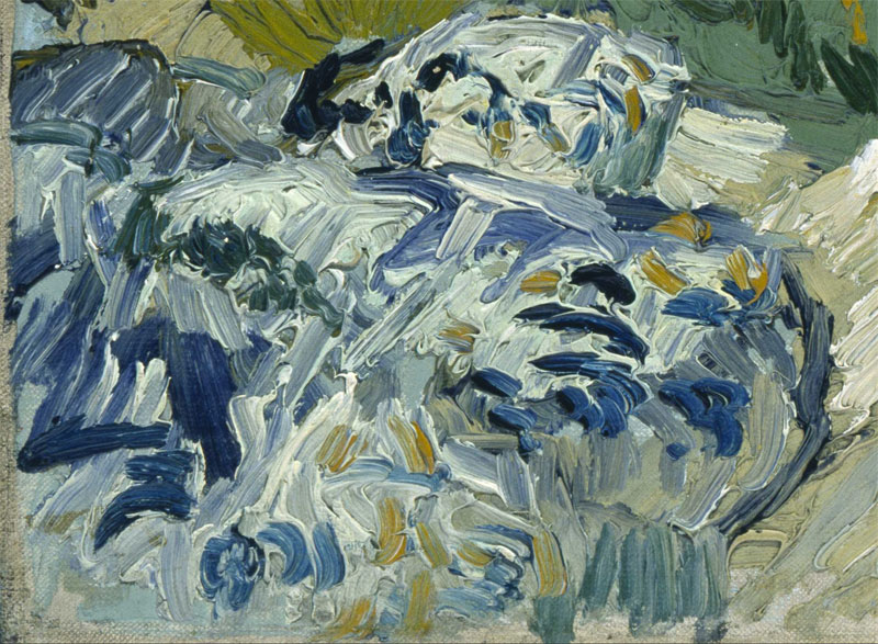 Vincent_van_Gogh-the-rocks-close-up