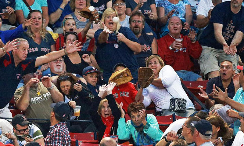 baseball fans react to fly ball The Shirk Report   Volume 229