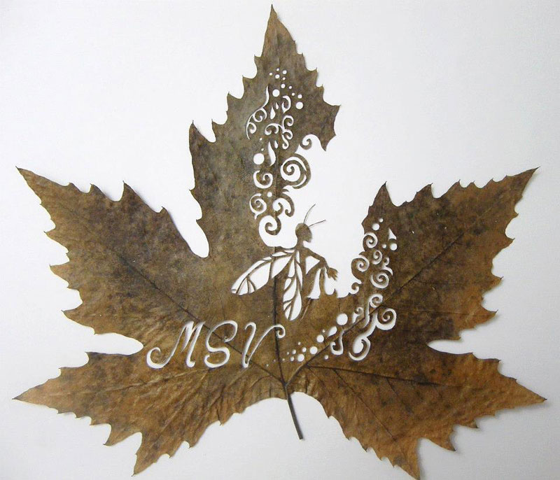 leaf cutting art lorenzo duran (3)