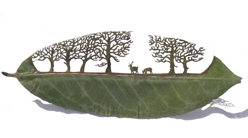 leaf cutting art lorenzo duran 6 Leaf Beasts: Animal Sculptures Made from Dried Magnolia Leaves