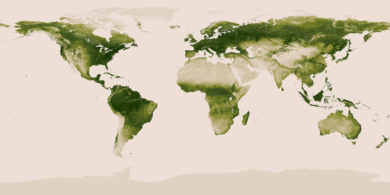 map of vegetation on earth 40 Maps That Will Help You Make Sense of the World