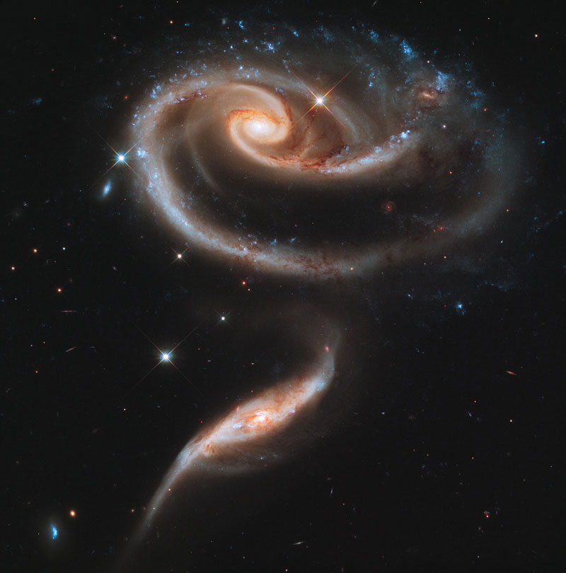 rose made of galaxies Picture of the Day: A Rose Made of Galaxies