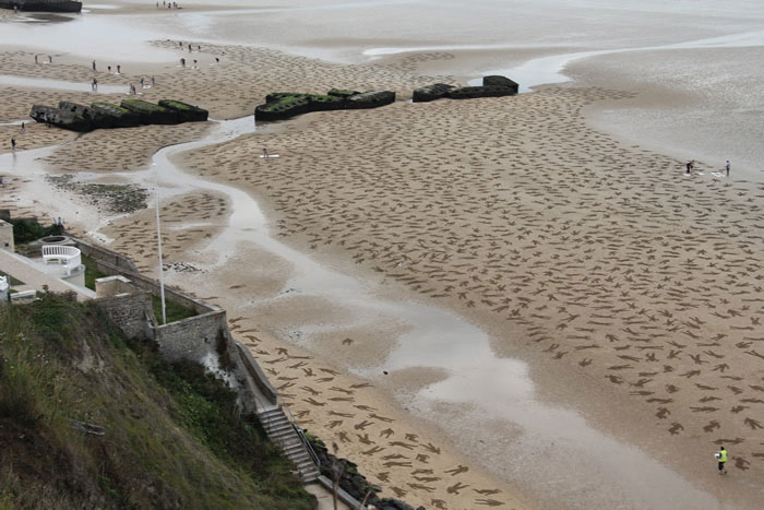 fallen soldiers etched into sand normandy beach peace day land art project (9)
