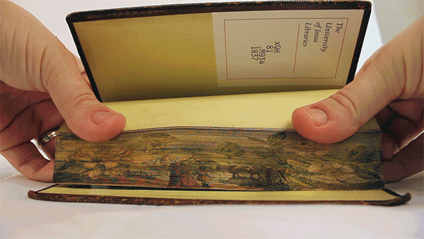 fore-edge paintings gif