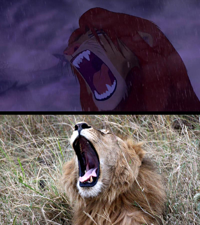 real life lion king brandon heuser (18)