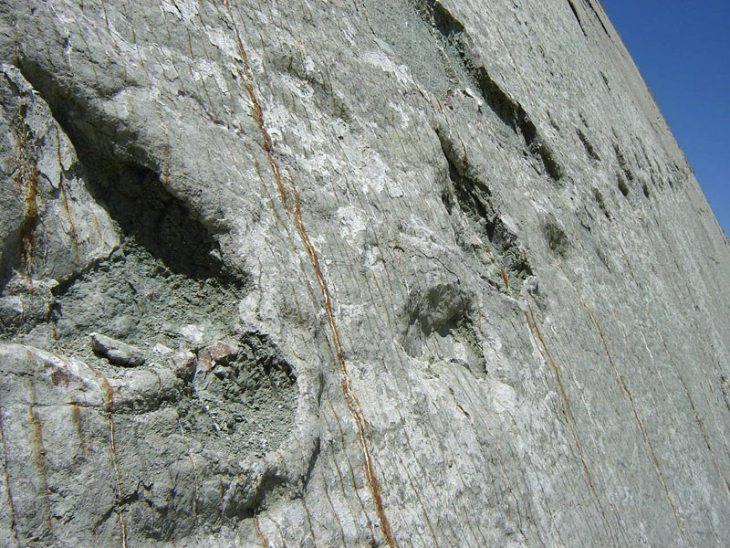 cal orko wall of dinosaur footprints sucre bolivia (4)