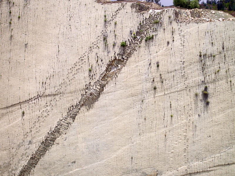 cal orko wall of dinosaur footprints sucre bolivia (5)