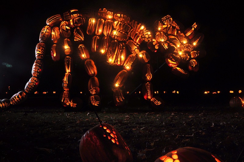 jack o lantern pumpkin triceratops