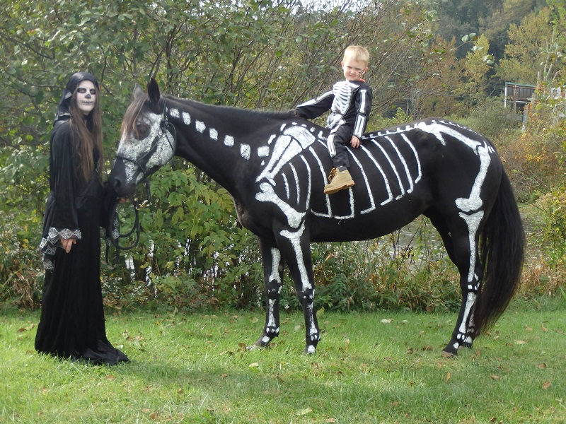 skeleton painted horse halloween (2)