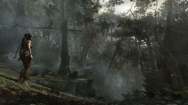 tomb raider anewdawn 40 Cinematic Landscape Stills from Video Games