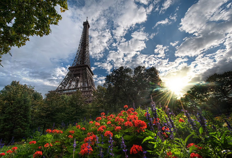 unique view of eiffer tower from below garden plants trey ratcliff Picture of the Day: Unique View of the Eiffel Tower