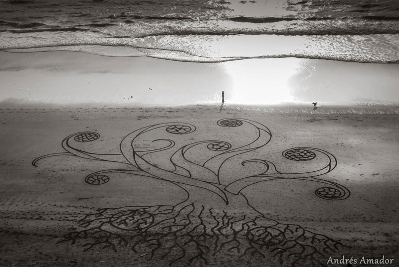 beach sand art with a by rake andres amador (14)