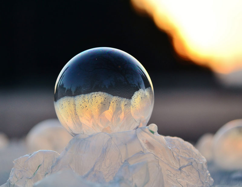 close ups of frozen soap bubbles angela kelly macro (13)