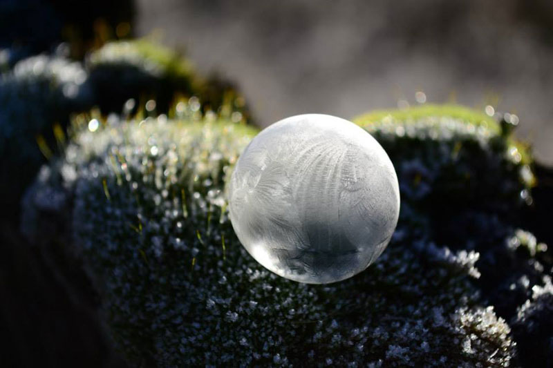 close ups of frozen soap bubbles angela kelly macro (8)