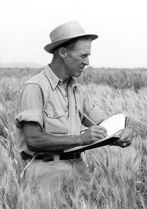 Norman-Borlaug