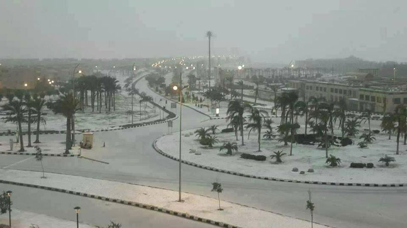 snow in cairo egypt december 2013 (1)