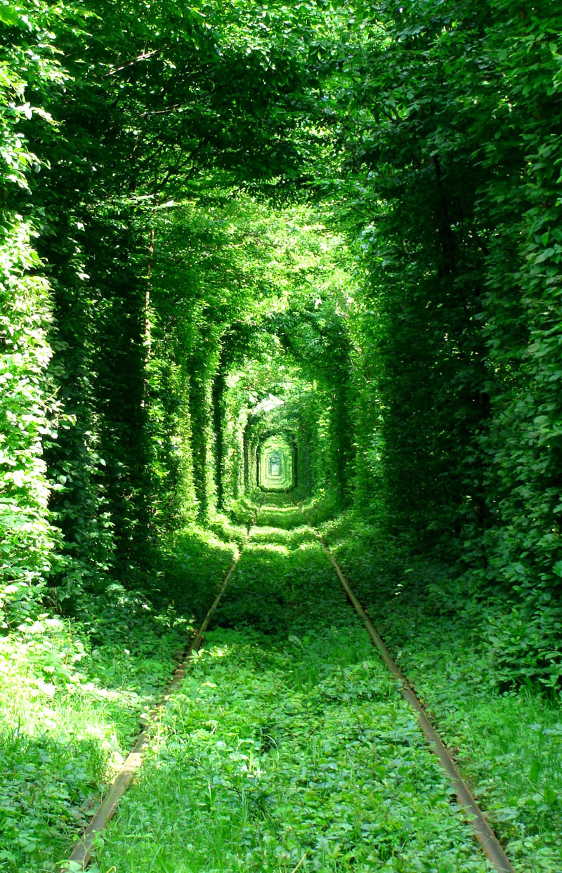 tunnel-of-love-green-mile-klevan-rivne-ukraine