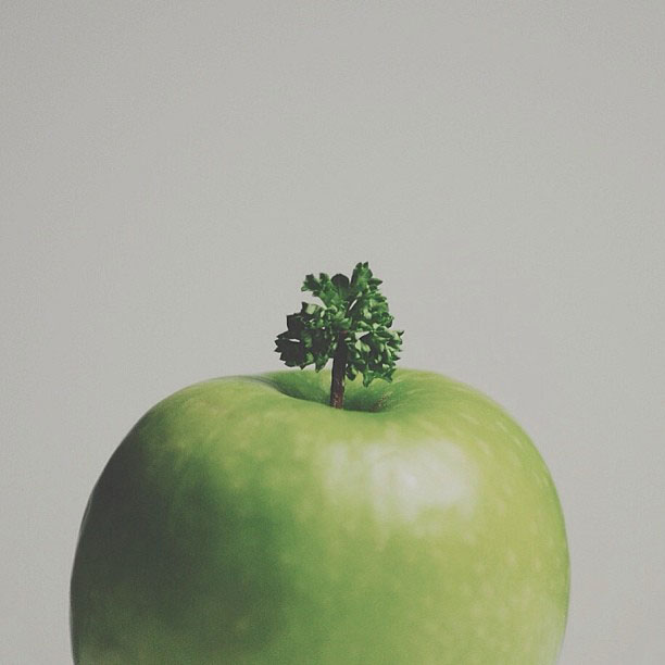 Creative Photos of Everyday Objects by Brock Davis (3)