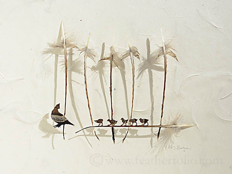 feather cutting art by chris maynard featherfolio (2)