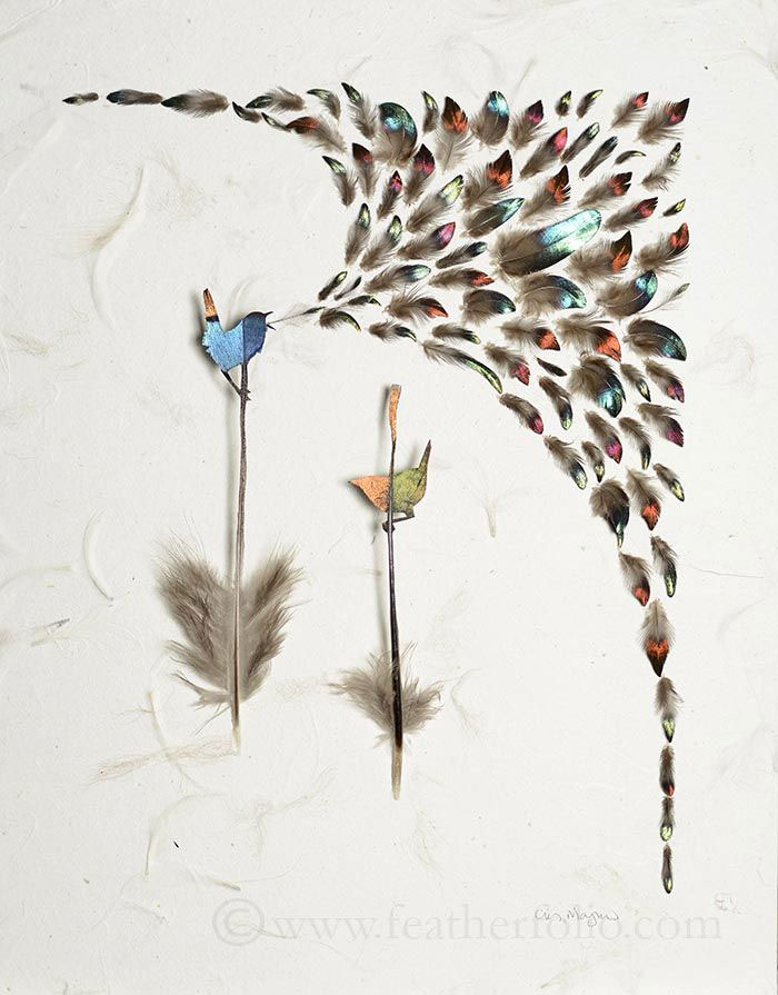feather cutting art by chris maynard featherfolio (4)