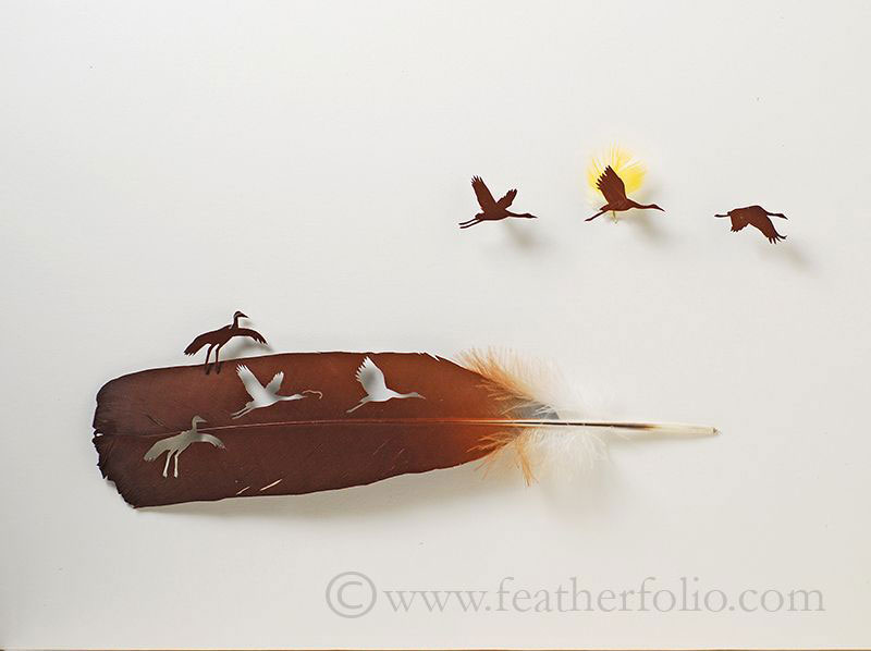 feather cutting art by chris maynard featherfolio (5)
