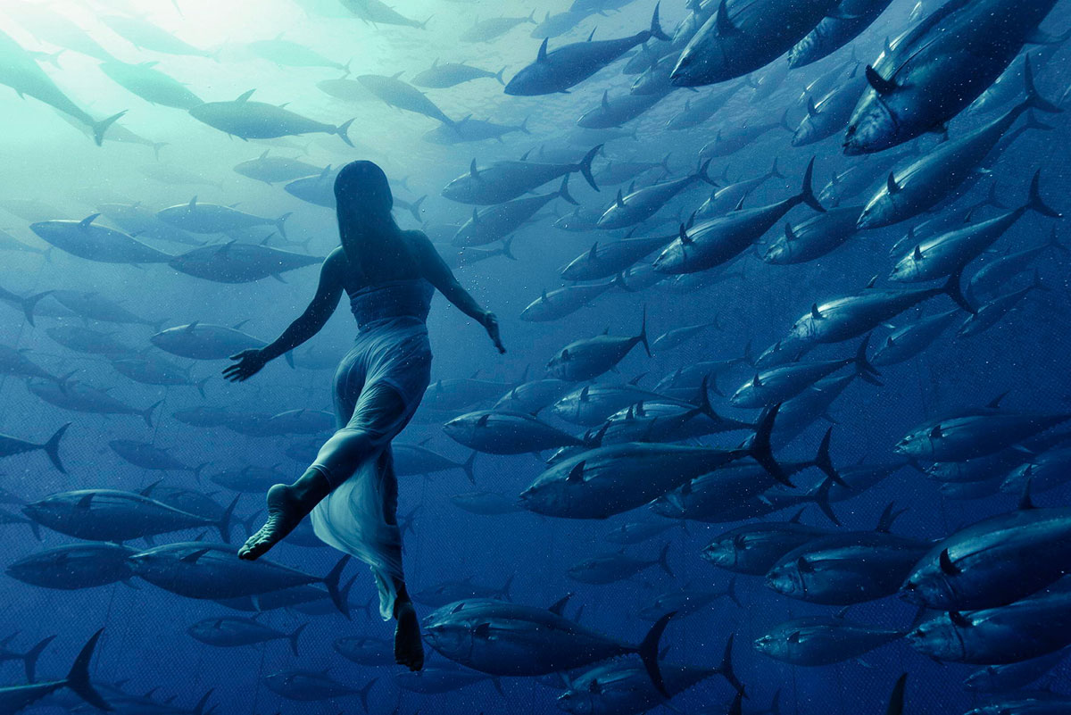 freediving with tuna fish by kurt arrigo The 2014 iPhone Photography Awards