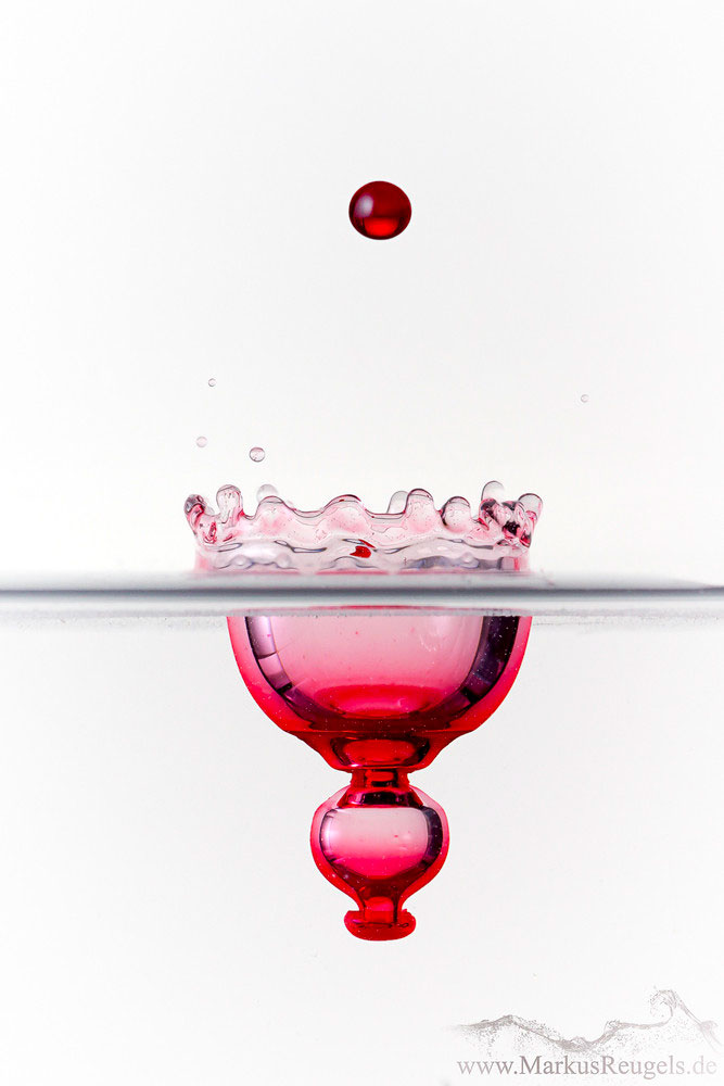 high speed water drop photography by markus reugels (10)