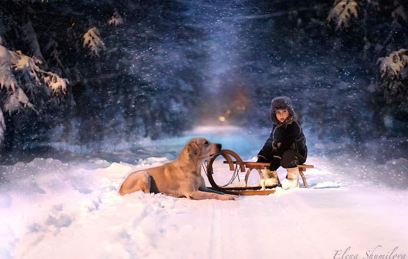 mother takes touching portraits of sons with animals elena shumilova (2)
