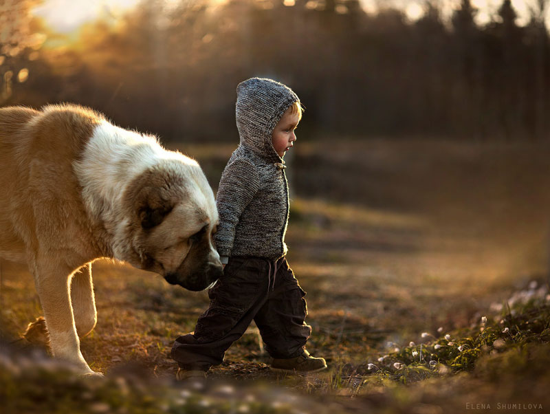 mother takes touching portraits of sons with animals elena shumilova (3)