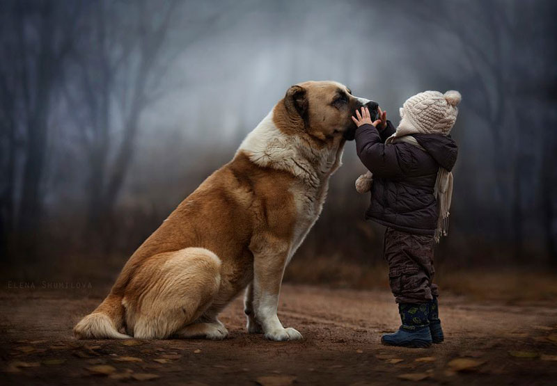 mother takes touching portraits of sons with animals elena shumilova 6 These Two are Winning the Internet in their Sleep