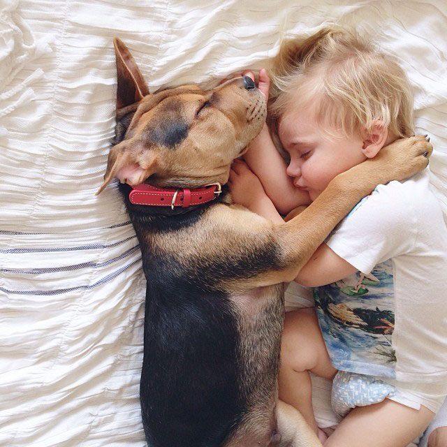 toddle naps with puppy theo and beau instagram (1)