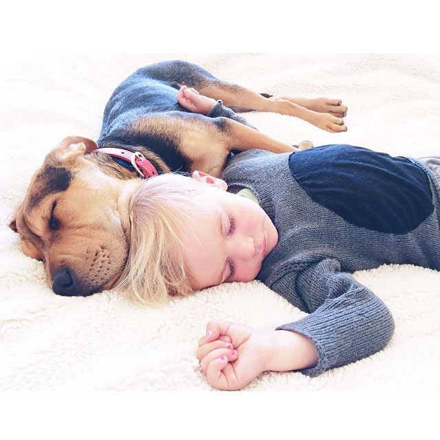 toddle naps with puppy theo and beau instagram (11)